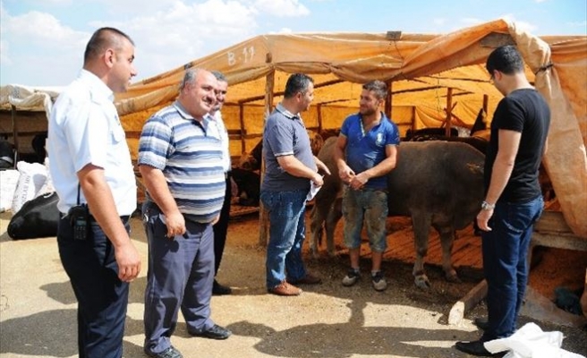 Pursaklar’da Kurbanlıklara Sıkı Denetim