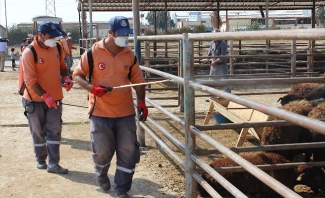 Kurbanlık Hayvan Pazarı İlaçlanıyor