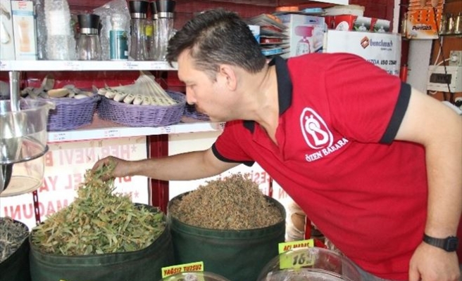 Ihlamur İçmek Lüks Oldu
