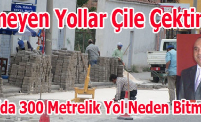 300 METRELİK YOL 1 AYDA NEDEN BİTİRİLEMEDİ