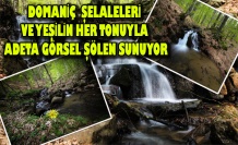 DOMANİÇ ŞELALELERİ VE YEŞİLİN HER TONUYLA ADETA GÖRSEL ŞÖLEN SUNUYOR