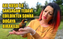 ARI KUŞU İLE SAKSAĞAN TEDAVİ EDİLDİKTEN SONRA DOĞAYA BIRAKILDI