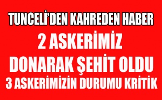 İKİ ASKERİMİZ DONARAK ŞEHİT OLDU 3 ASKERİMİZİN DURUMU AĞIR