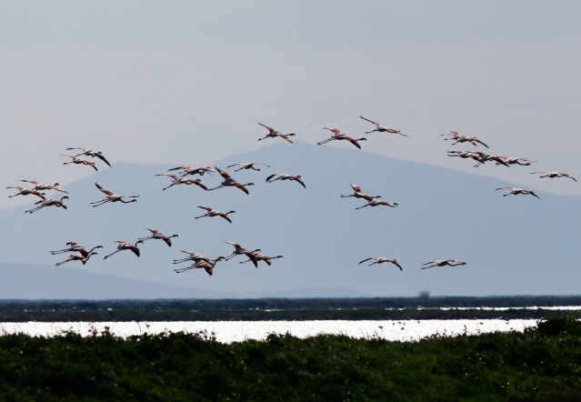 Baharın Müjdecileri Kuş Cennetine Geldi