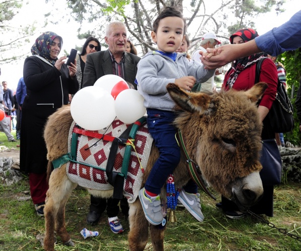 "Şampiyon buzağı ve en iyi koç-teke" yarışması