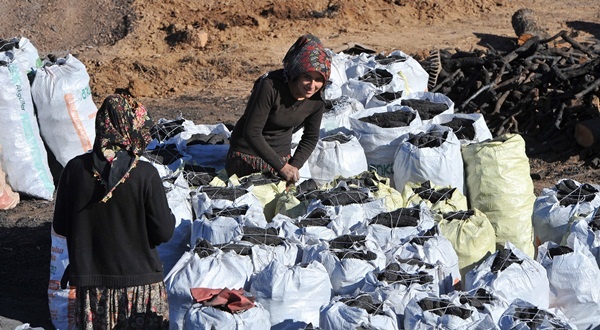 Odun Kömür İşçilerinin Kış mESAİSİ