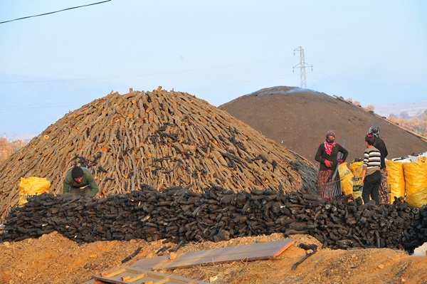 Odun Kömür İşçilerinin Kış mESAİSİ
