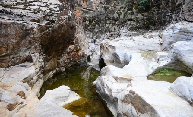 Taşyaran Vadisine Tabiat Parkı Projesi