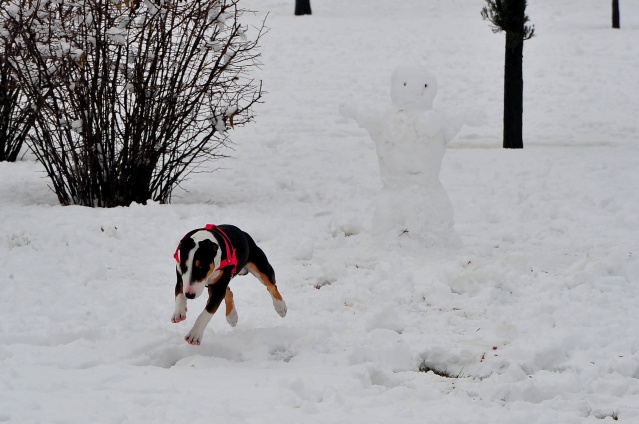 UŞAK'TAN MUHTEŞEM KAR MANZARALARI
