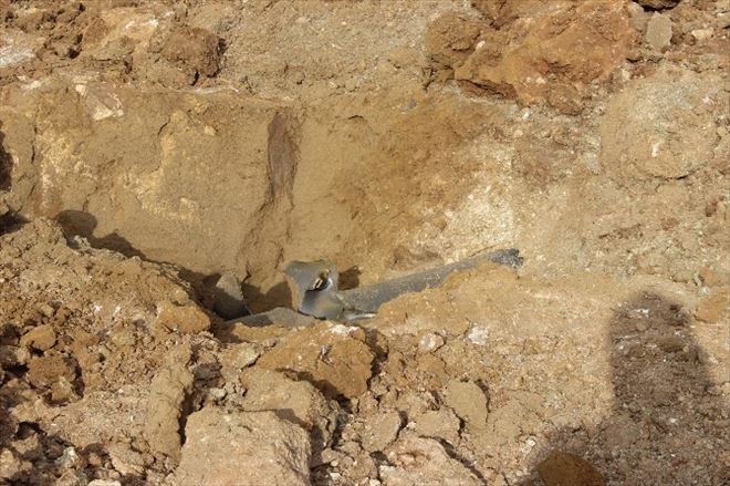 Tavşanlı’da Doğalgaz Ana Borusu Patladı