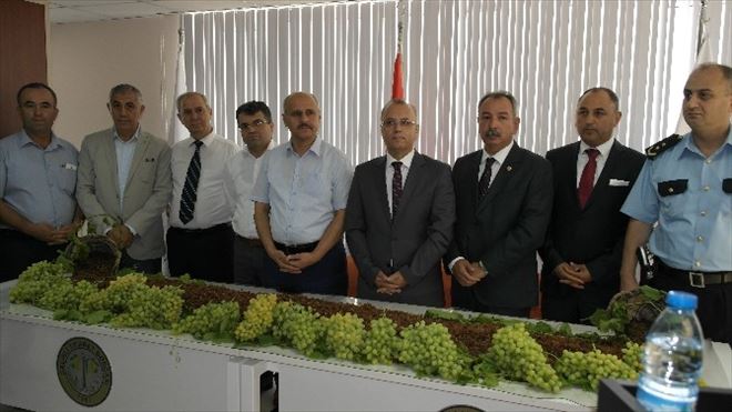 Salihli’de İlk Çekirdeksiz Kuru Üzüm Borsa’ya Geldi