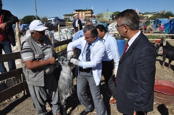 Yüreğir’de Kurban Kesim Ve Satış Noktaları Belirlendi