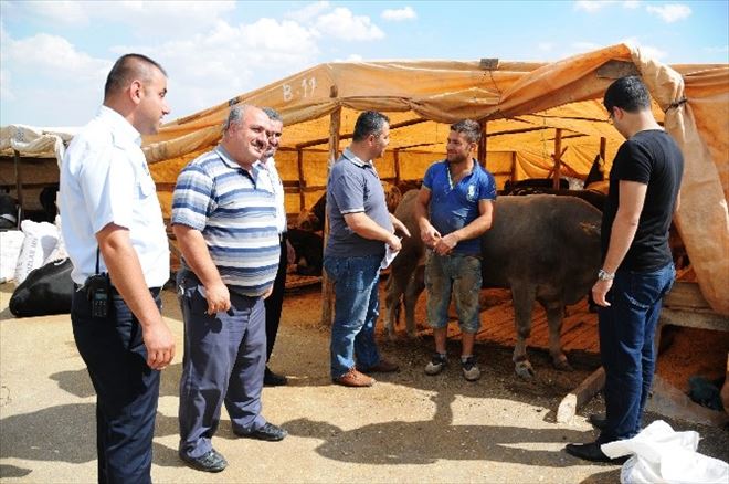 Pursaklar’da Kurbanlıklara Sıkı Denetim