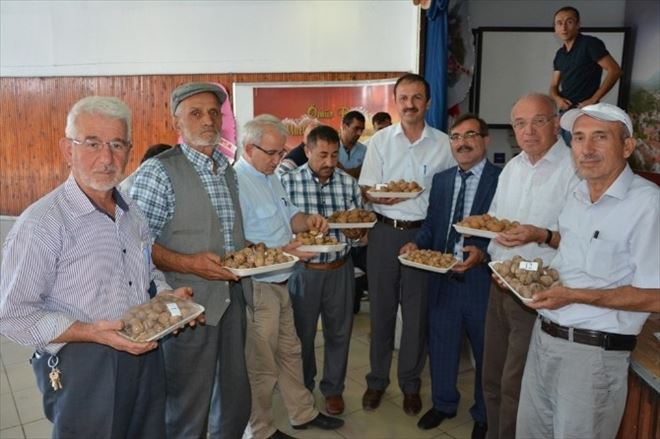 Niksar’da En İyi Yerli Ceviz Yarışması