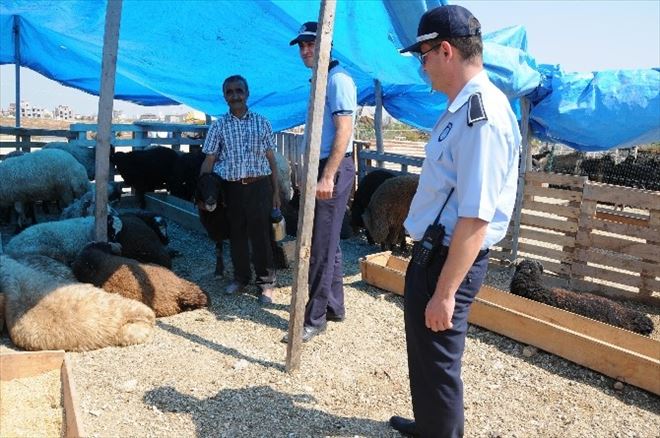 Yenişehir Belediyesi Kurban Satış Ve Kesim Yerlerini Hazırladı