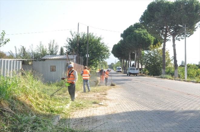 Nazilli’de Yol Kenarları Temizleniyor