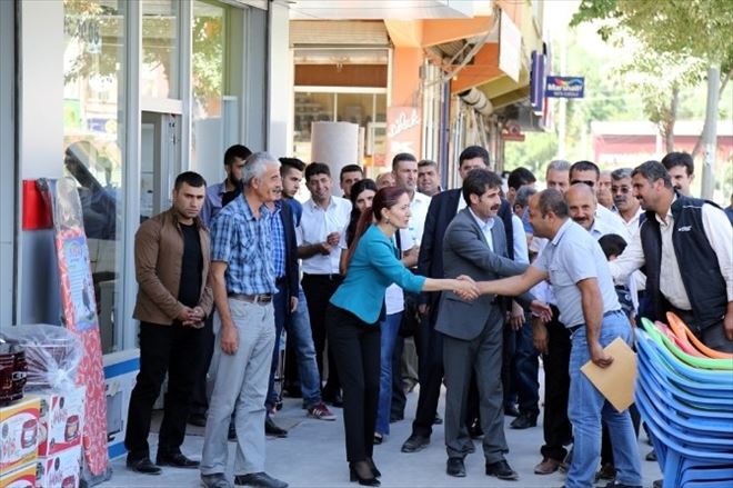 Eş Başkanlar Gevaş’ta