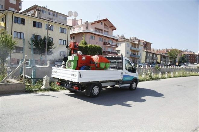 Haşereye Karşı İlaçlama Çalışmaları