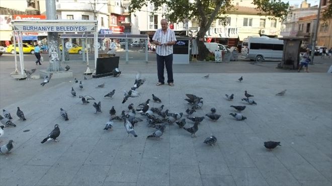 Burhaniye’de Güvercin Besleme İmecesi