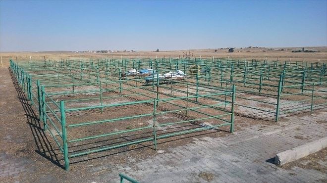 Cihanbeyli’de Kurban Bayramı Hazırlıkları Sürüyor