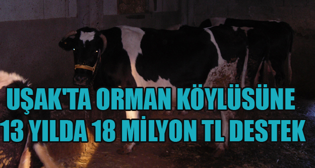 UŞAK'TA ORMAN KÖYLÜSÜNE 13 YILDA 18 MİLYON TL DESTEK