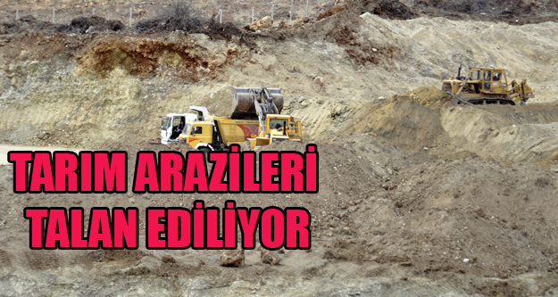 TARIM ARAZİLERİ TALAN EDİLİYOR, KİMSEDEN DUR YOK!