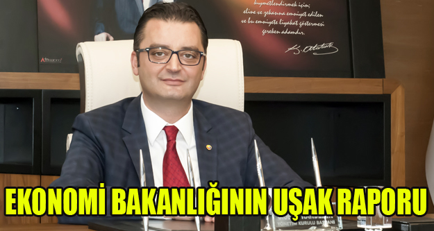 EKONOMİ BAKANLIĞINDAN UŞAK RAPORU