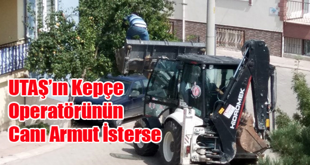 UTAŞ'IN KEPÇE OPERATÖRÜNÜN CANI ARMUT İSTERSE!
