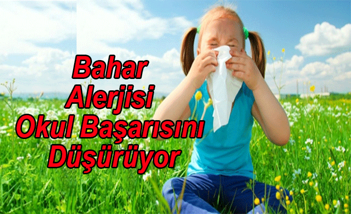 BAHAR ALERJİSİ OKUL BAŞARISINI DÜŞÜRÜYOR