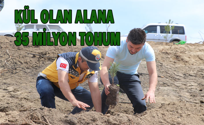 KÜL OLAN ALANA 35 MİLYON TOHUM
