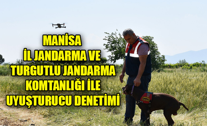 MANİSA İL JANDARMA VE TURGUTLU JANDARMA KOMTANLIĞI İLE UYUŞTURUCU DENETİMİ