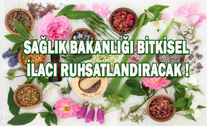 SAĞLIK BAKANLIĞI BİTKİSEL İLACI RUHSATLANDIRACAK