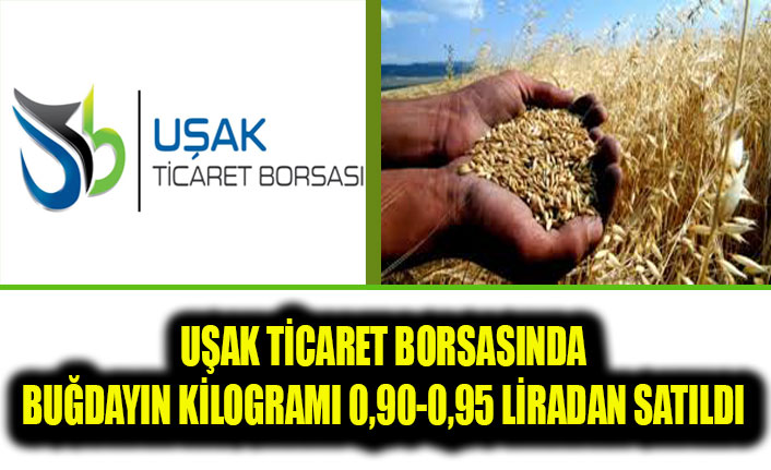 UŞAK TİCARET BORSASINDA BUĞDAYIN KİLOGRAMI 0,90-0,95 LİRADAN SATILDI