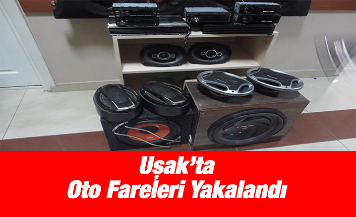 Uşak’ta Oto Fareleri Yakalandı