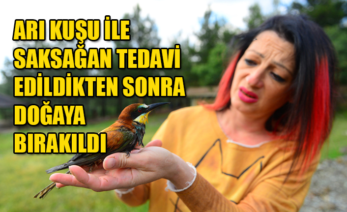 ARI KUŞU İLE SAKSAĞAN TEDAVİ EDİLDİKTEN SONRA DOĞAYA BIRAKILDI