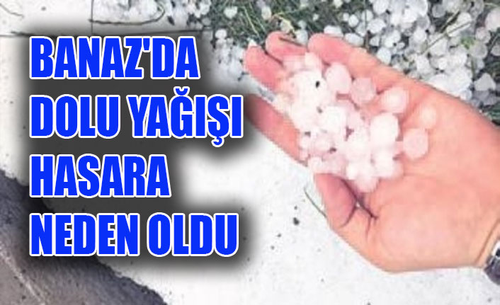 BANAZ'DA DOLU YAĞIŞI HASARA NEDEN OLDU