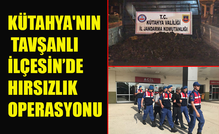 KÜTAHYA'NIN TAVŞANLI İLÇESİN’DE HIRSIZLIK OPERASYONU