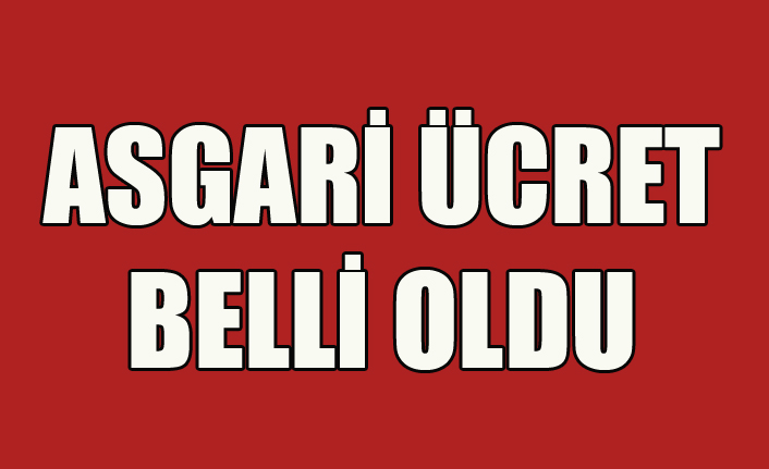 2019 YILI İÇİN ASGARİ ÜCRET BELLİ OLDU