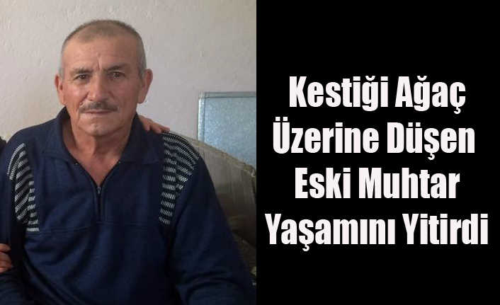 KESTİĞİ AĞACIN ALTINDA KALAN ESKİ MUHTAR YAŞAMINI YİTİRDİ