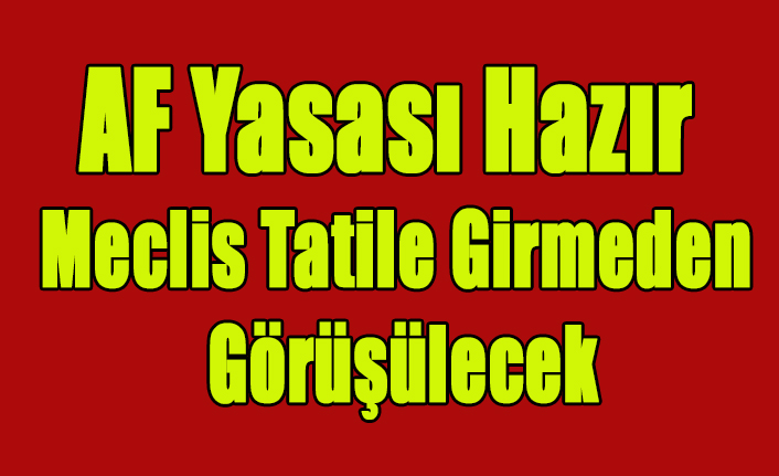 100 BİNLERCE MAHKUMU İLGİLENDİREN AF YASASI MECLİS TATİLE GİRMEDEN GÖRÜŞÜLECEK