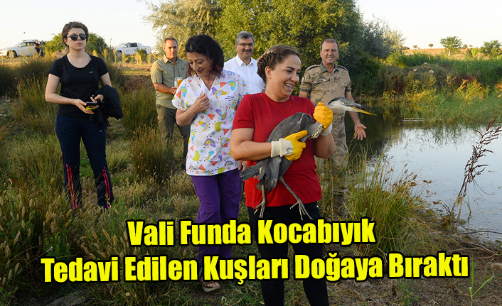 Vali Funda Kocabıyık tedavi edilen kuşları doğaya bıraktı