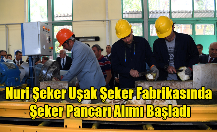 93 YILDIR DEVAM EDEN HEYECAN NURİ ŞEKER UŞAK ŞEKER FABRİKASINDA ALIMLAR BAŞLADI