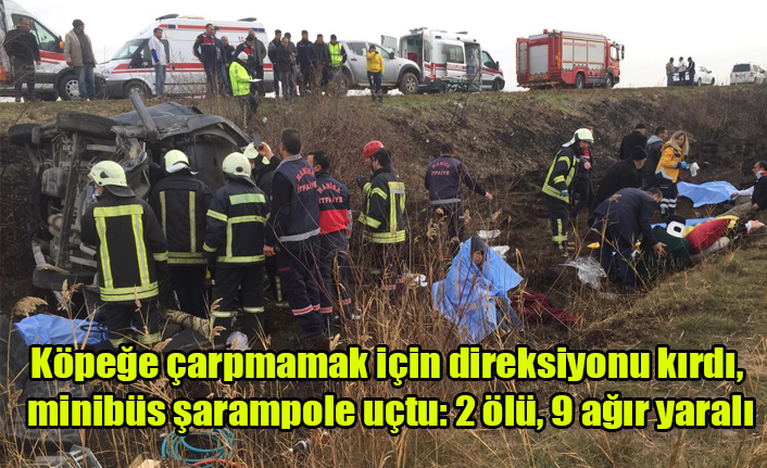 Köpeğe çarpmamak için direksiyonu kırdı, minibüs şarampole uçtu: 2 ölü, 9 ağır yaralı