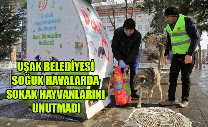 UŞAK BELEDİYESİ SOĞUK HAVALARDA SOKAK HAYVANLARINI UNUTMADI