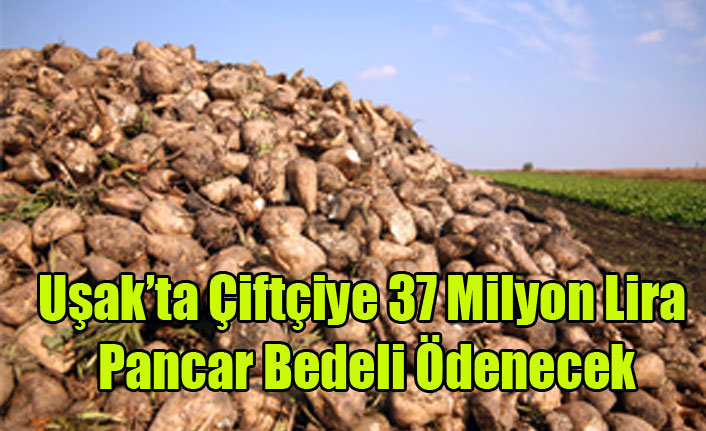 Uşak’ta Çiftçiye 37 Milyon Lira Pancar Bedeli Ödenecek.