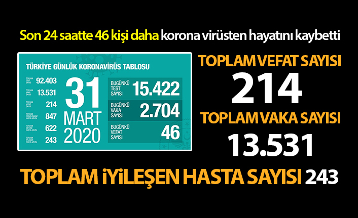 Koronavirüsten hayatını kaybedenlerin sayısı 214'e yükseldi