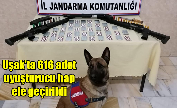 Uşak'ta 616 adet uyuşturucu hap ele geçirildi