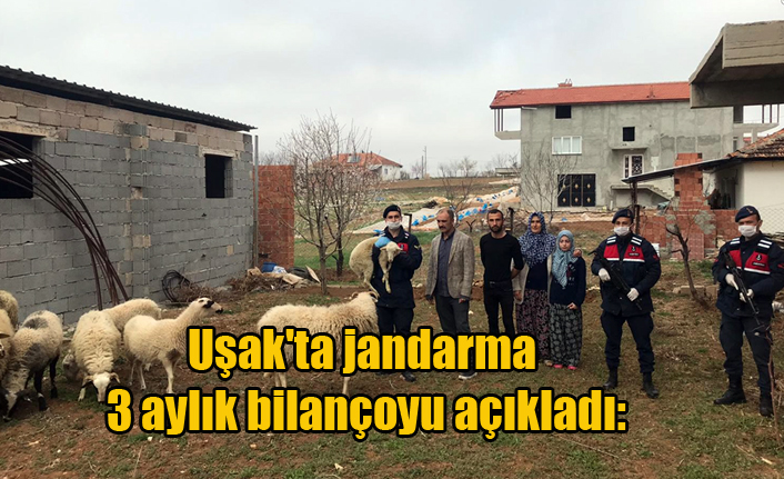 Uşak'ta jandarma 3 aylık bilançoyu açıkladı: