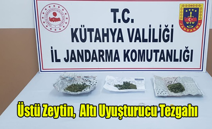 ZEYTİN TEZGAHINDA UYUŞTURUCU SATAN ŞAHIS YAKALANDI