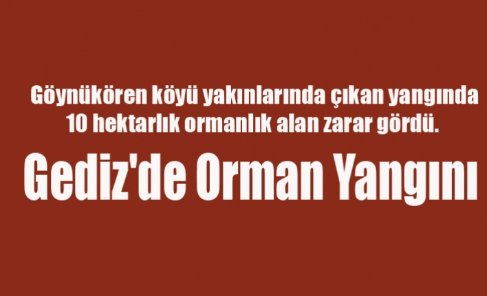Gediz'de Orman Yangını